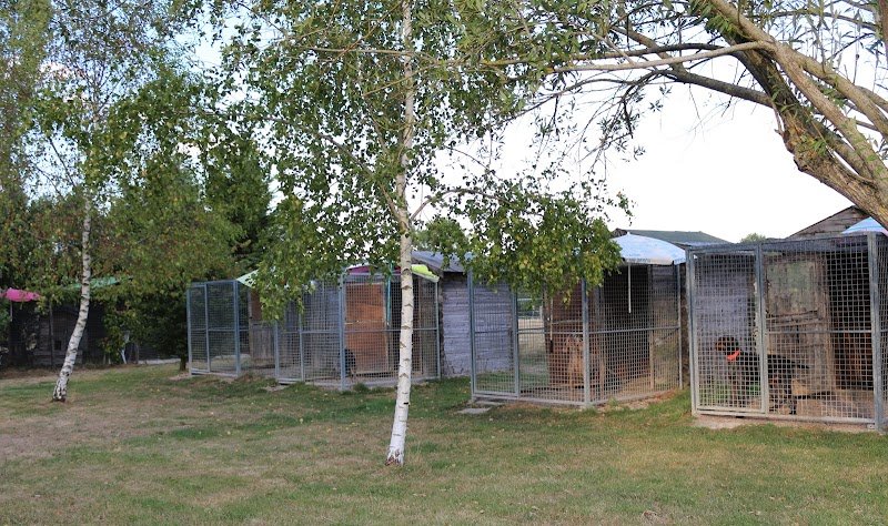Pension canine féline équine du domaine de Buchepot