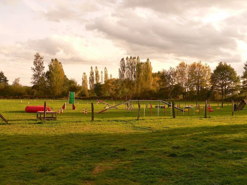 Club canin sancoinnais