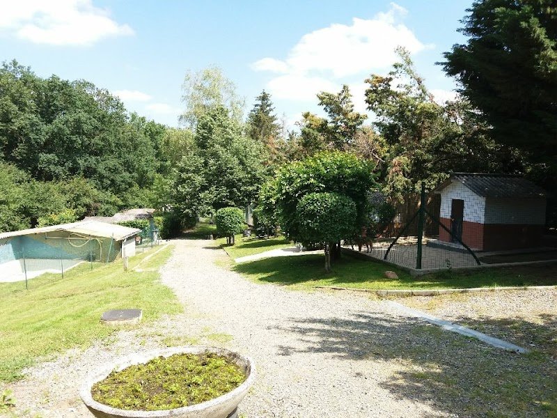 Anim'hôtel Pension Canine et Féline - photo 2