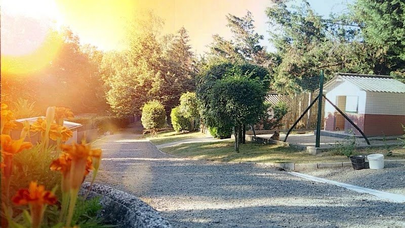 Anim'hôtel Pension Canine et Féline - photo 3