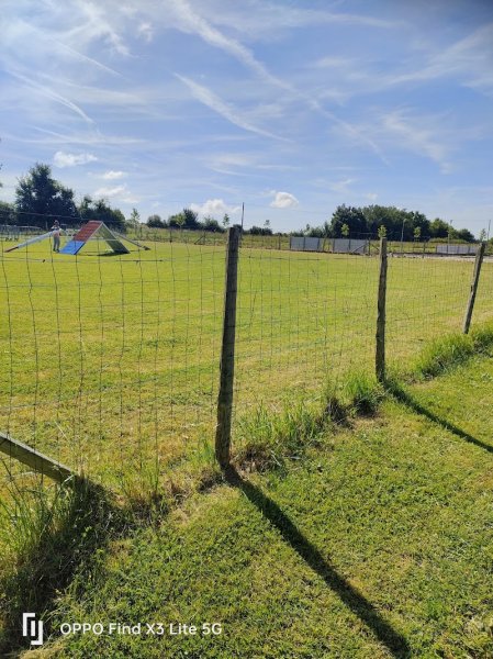 Club Cynophile Coursois - photo 1