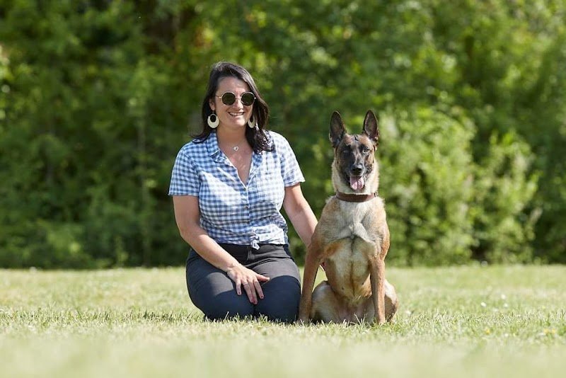 Multi acti dog - photo 1