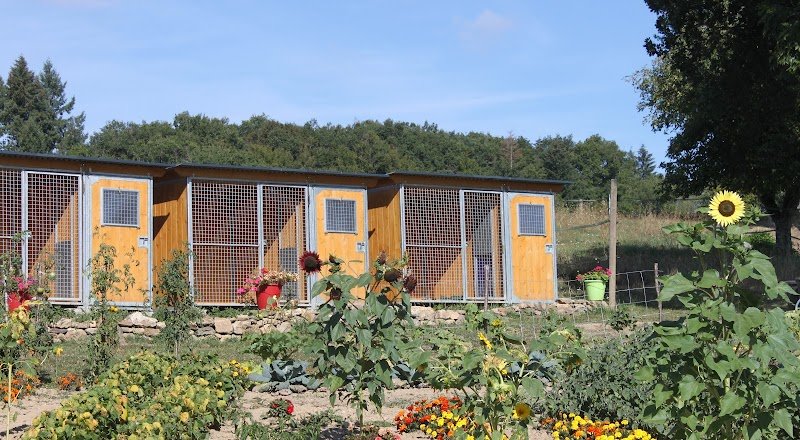 Pension et Education Canine de la Ganne de Fer