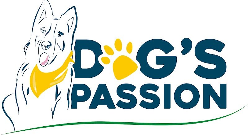 Dog's passion - Educateur et comportementaliste canin - photo 3