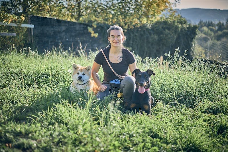 Chien des bois noirs - photo 1