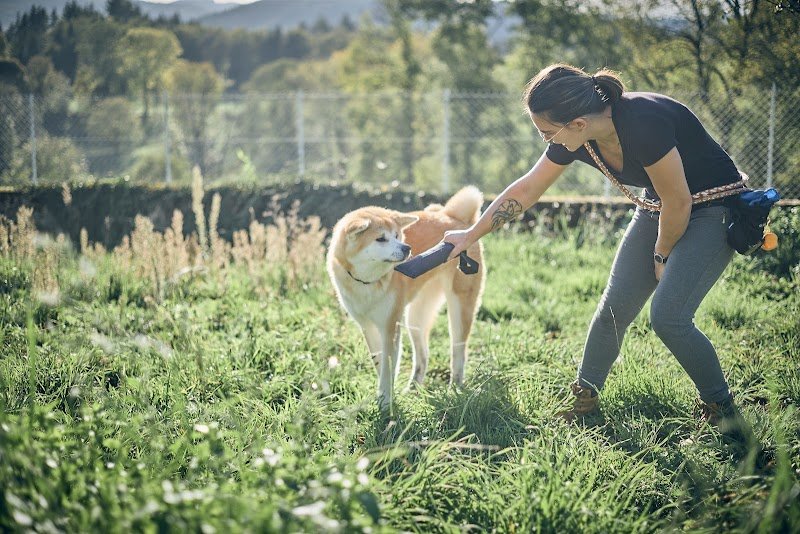 Chien des bois noirs - photo 2