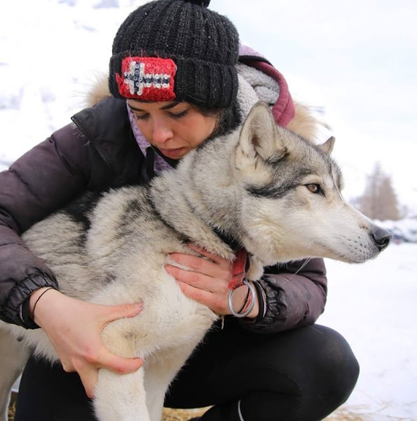 Natacha Garnon Ostéopathe animalier Equin Canin Bovin - photo 2