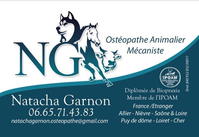 Natacha Garnon Ostéopathe animalier Equin Canin Bovin - photo 3