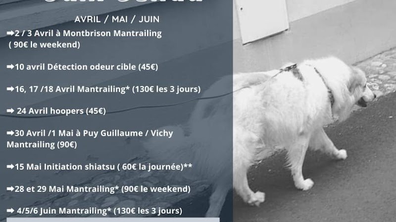 Audry's Éducation canine (Mantrailing & Détection Auvergne) - photo 1