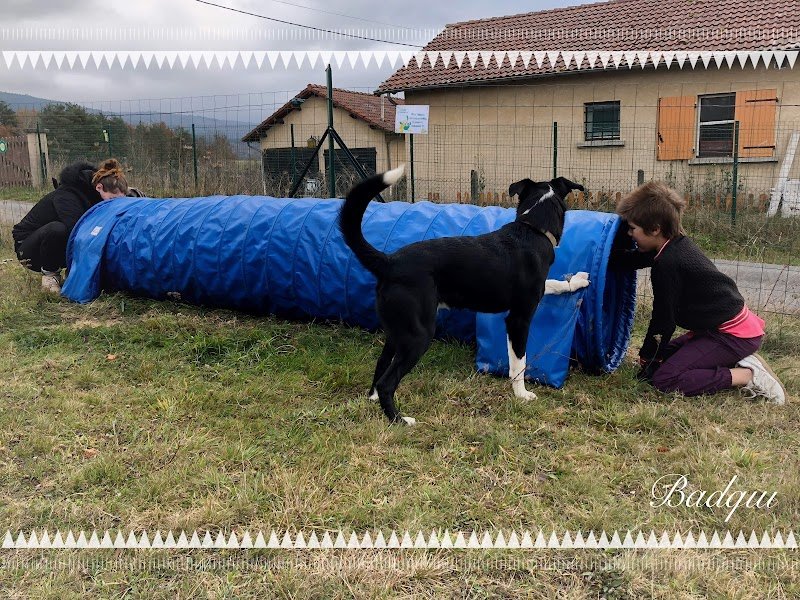 Audry's Éducation canine (Mantrailing & Détection Auvergne) - photo 2