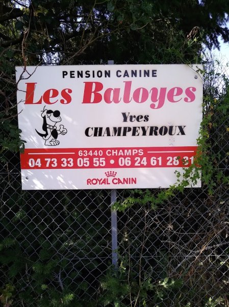Champeyroux Yves Pension Canine les Baloyes - photo 2