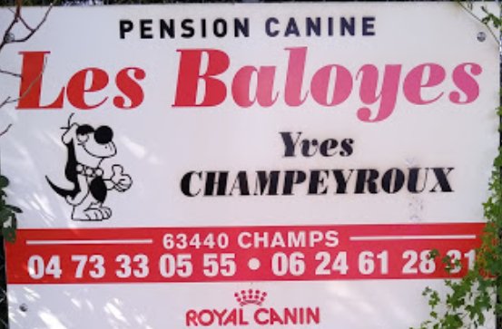 Champeyroux Yves Pension Canine les Baloyes - photo 3