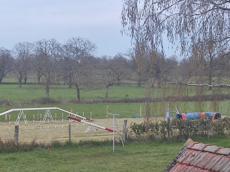 Sylvie Bonneau - Éducateur canin - photo 2