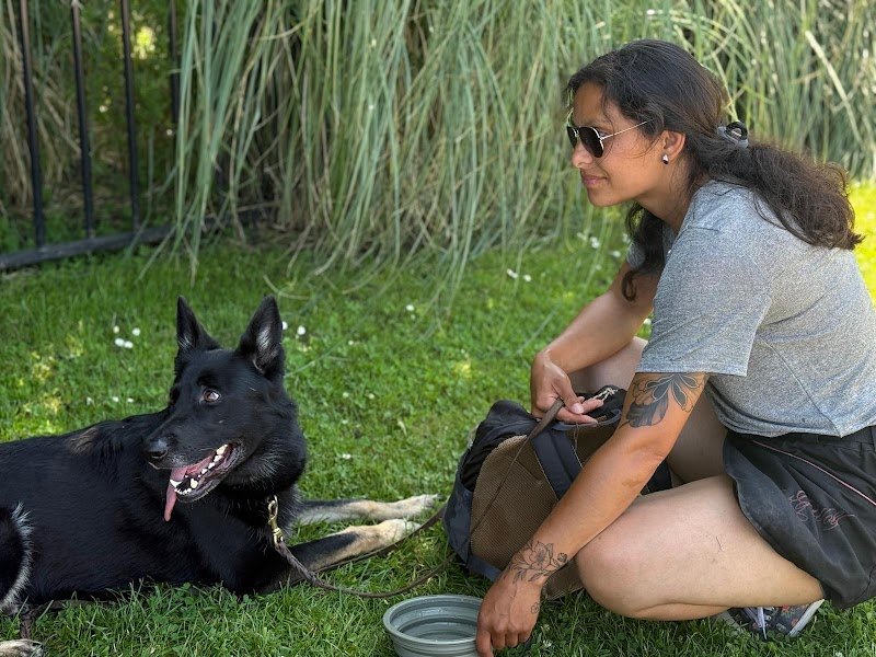 Jade éducation canine - photo 2