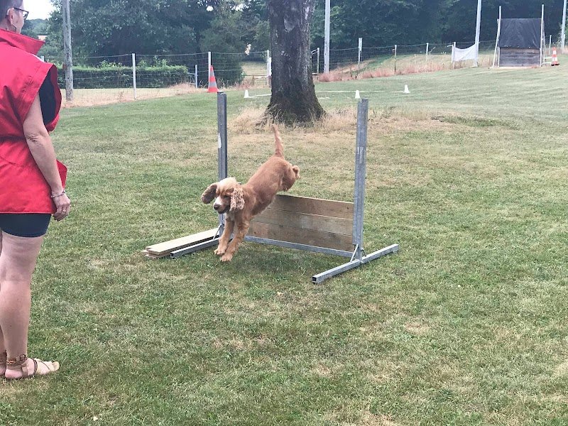 Cercle Canin Charolais - photo 1