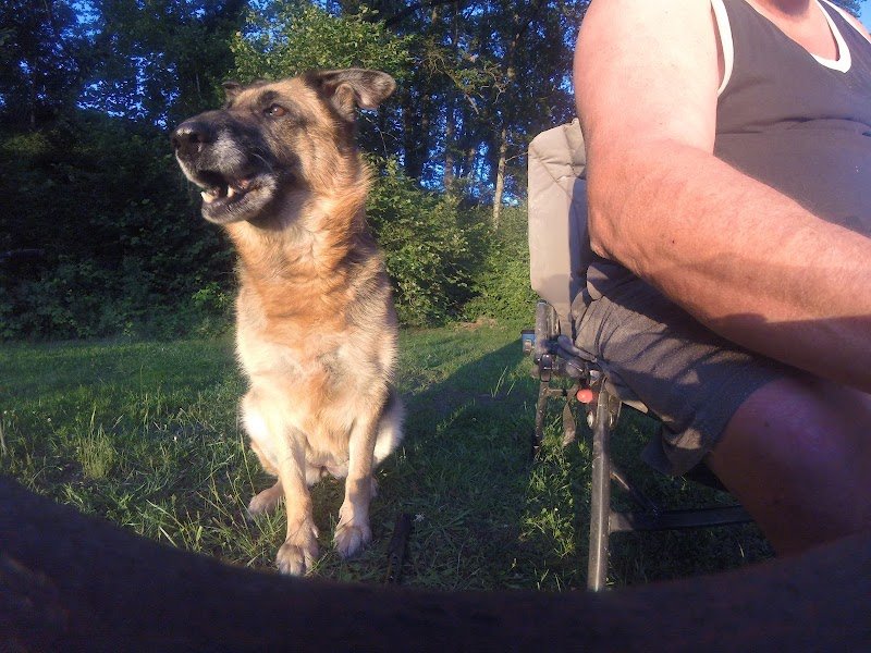 Cercle Canin Charolais - photo 3