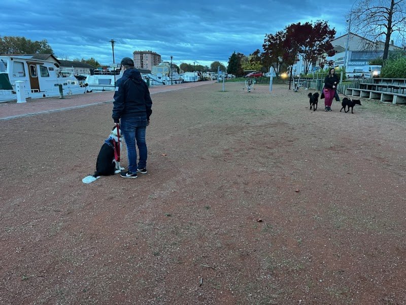 md éducation canine - photo 1
