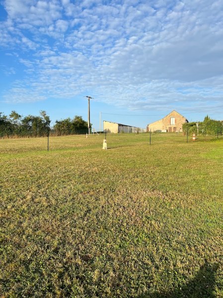 Liberté Canine | Centre d’Éducation et Pension Canine - photo 2