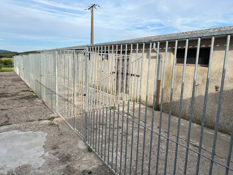 Liberté Canine | Centre d’Éducation et Pension Canine - photo 3