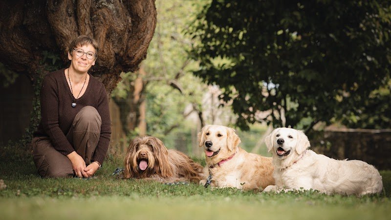 EDUCAGIL, éducateur canin, comportementaliste canin, agility dog, Èlevage canin