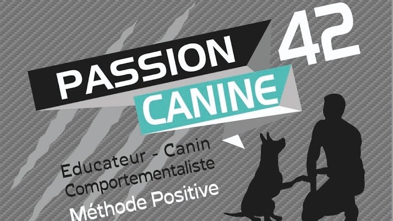 Passion canine 42 éducateur canin comportementalistes,spécialisé en rééducation des chiens réactifs,peureux et phobique.