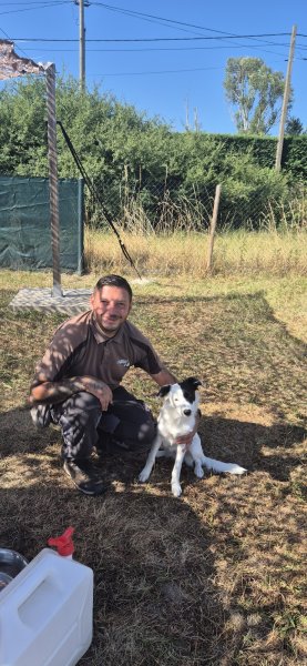 Passion canine 42 éducateur canin comportementalistes,spécialisé en rééducation des chiens réactifs,peureux et phobique. - photo 3