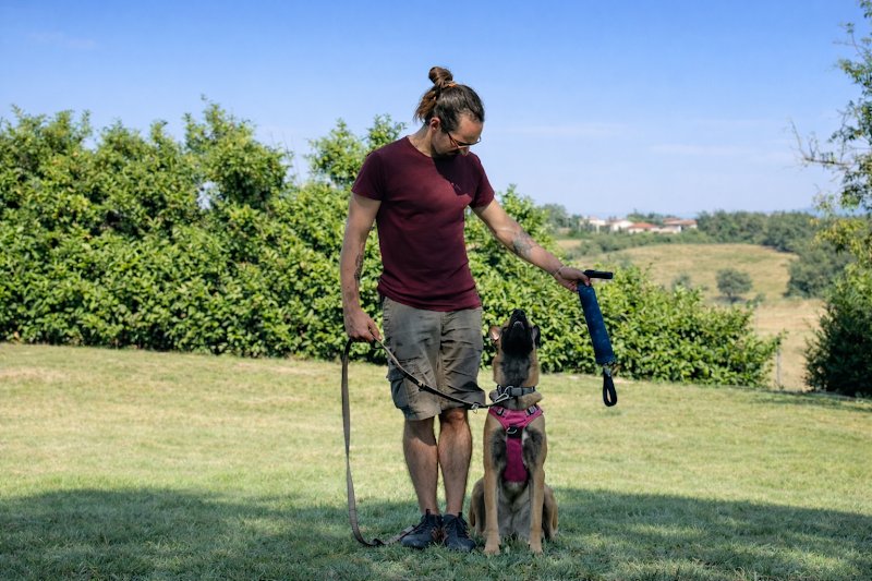 Octa Caninae Education canine - photo 1