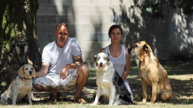 Auberge Canine - photo 1