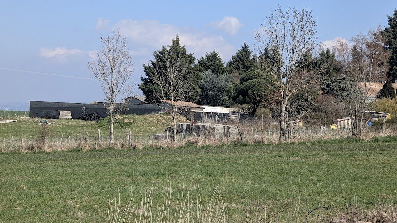 Auberge Canine - photo 3