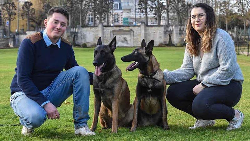 Pension canine et féline du domaine des Flèches d’Artémis