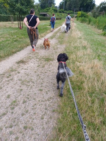 Passion Animaux 58 /18 educateur canin ,pension canine et féline - photo 3