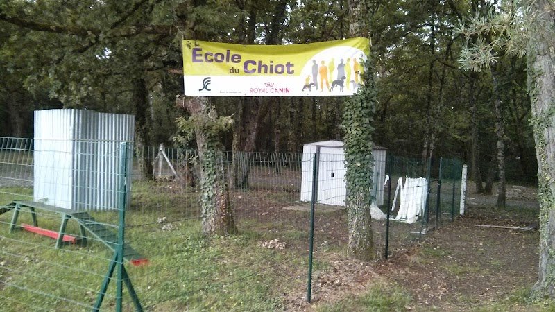 Le Club Canin Berruyer