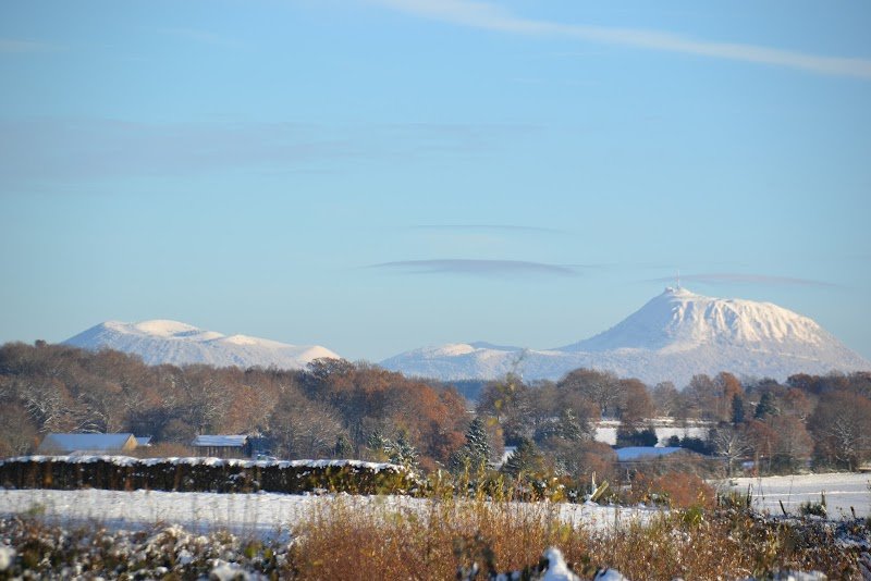 Pension Canine Le Domaine de Myrtille
