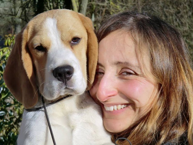 Bray Bocage coach canin - photo 1