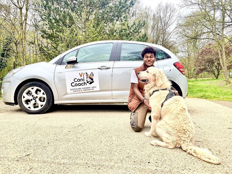 Vicanicoach - Éducateur canin