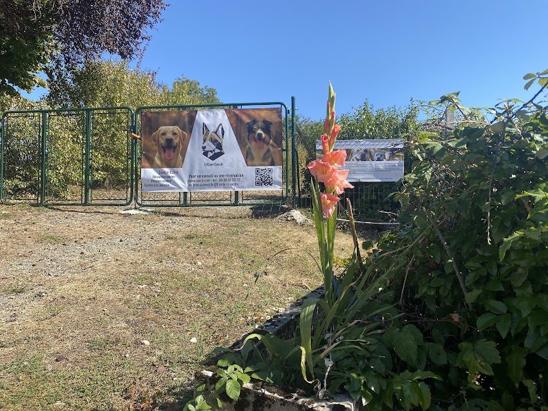 Vicanicoach - Éducateur canin - photo 2