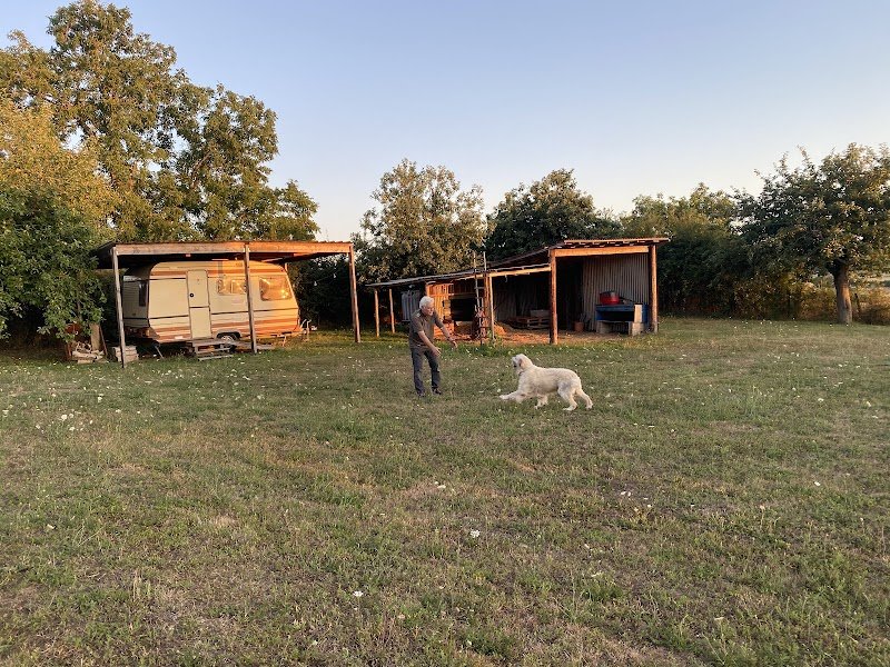 Vicanicoach - Éducateur canin - photo 3