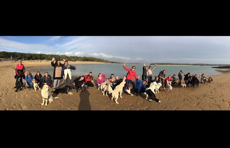 Estelle Riffaud - Education Canine - photo 1