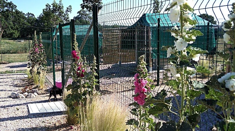 Pension Canine du Grand Langeron