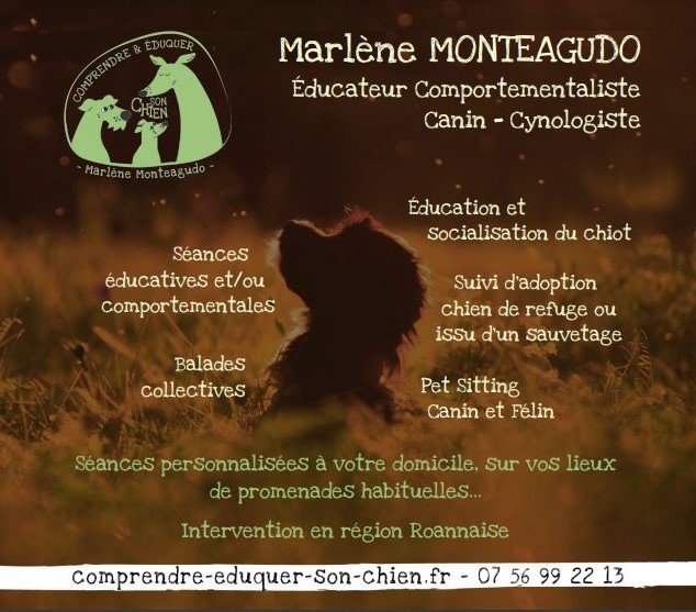 Éducateur Comportementaliste CANIN Marlène Monteagudo - photo 1