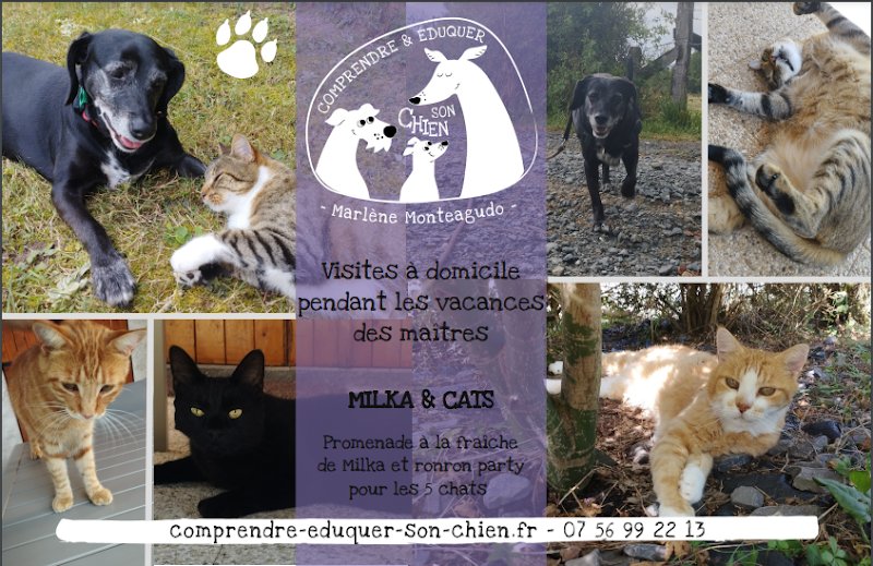 Éducateur Comportementaliste CANIN Marlène Monteagudo - photo 3