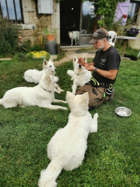 Eden's DOG - photo 2