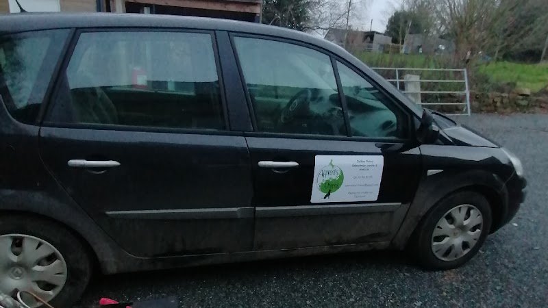 Apprentis chiens - photo 1