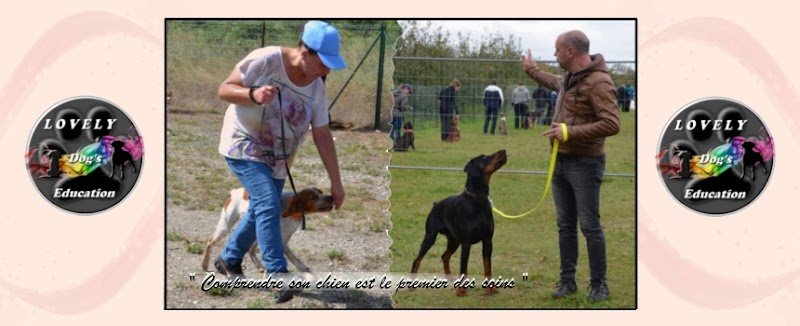 Lovely Dogs Education