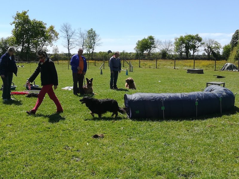 Centre d'éducation canin Talmondais - photo 1