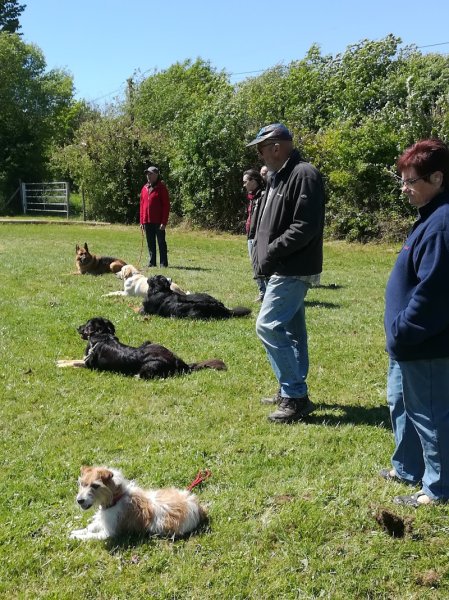 Centre d'éducation canin Talmondais - photo 2