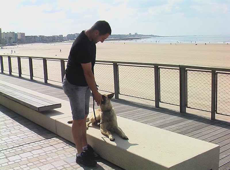 Centre d'éducation canin Talmondais - photo 3