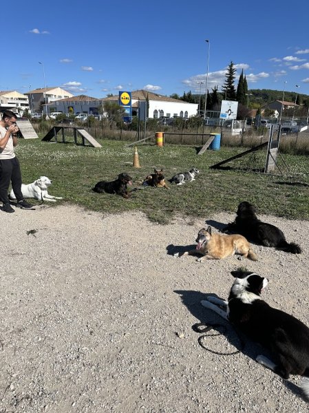 Amicale De Dressage De Bouc Bel Air - photo 2