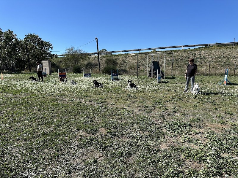 Amicale De Dressage De Bouc Bel Air - photo 3