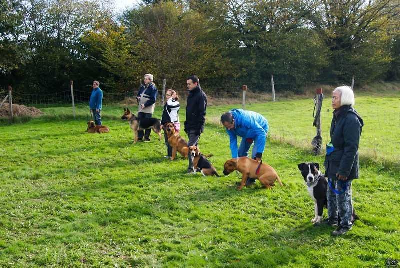 Agil'Canin 36 - photo 3